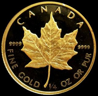 1989 Gold 1/4 Oz Canada 7.  78 Grams $10 Dollar Gem Proof Coin