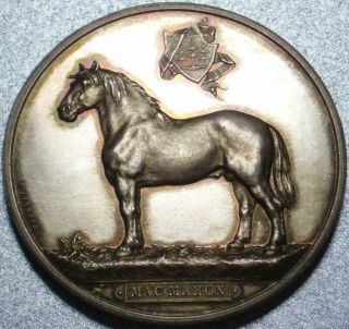 1893 Sweden Large 43 - Mm 1.  7 In High Relief Silver Award Medal For Horse Breeding