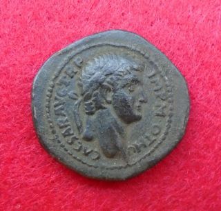 Syria,  Seleucis And Pieria.  Antioch.  Bronze Otho.  Ad 69.  Æ,  Very Rare
