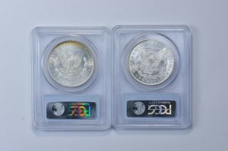 MS64 1882 - CC & 1883 - CC Morgan Silver Dollars - Graded PCGS 4840 2