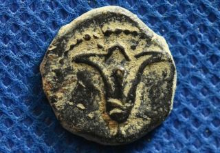 Judaea John Hyrcanus I 134 - 104bc.  Antiochos Vii Jerusalem Judea Lily Prutah Coin