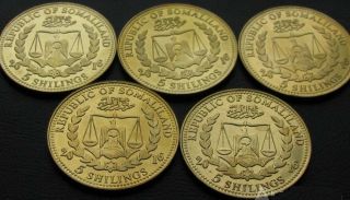 Somaliland Somaly Somali Somalia 2016 5 coins Cats 2