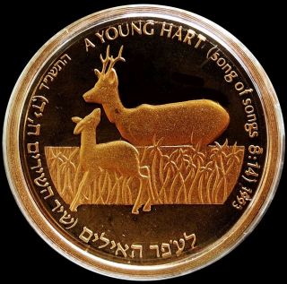 1993 Gold Israel Proof 8.  63 Grams 5 Sheqalim Apple Tree Coin 1782 Minted