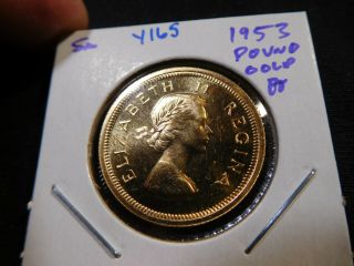 Y165 South Africa 1953 Gold Pound Proof