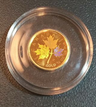 2001 Canada Gold Maple Leaf Hologram 1/4 Oz Only 15,  000 - Display Box & 2939