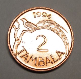 Malawi 2 Tambala 1994 Aunc,  Low Mintage,  Extremely Rare