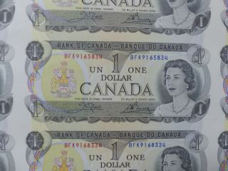 1973 CANADA 1 DOLLAR BANK NOTE UNCUT SHEET X 40 & TUBE 2