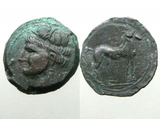 Carthage Zeugitana Bronze Ae23_horse / Tanit_queen Dido / Punic Wars
