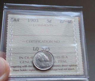1903 Canada Silver 5 Cents Coin - Iccs Ef - 40 - Old Iccs 2 Letter Holder