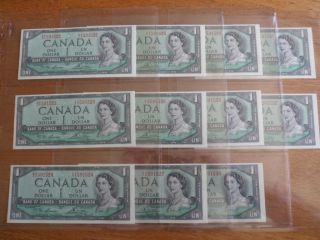 1954 Canada 1 Dollar Bank Note - Lawson/bouey - 11 Consecutive - Ci1591522 - 1591532 - Unc