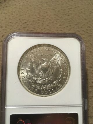 morgan silver dollar 1884 - o Ngc Brilliant Uncirculated 2
