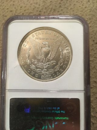 morgan silver dollar 1884 - o Ngc Brilliant Uncirculated 6