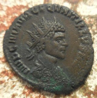 Sharp Bust Of Quintillus 270 Ad.  Radiate Rome.  Radiate And Cuirassed Bust