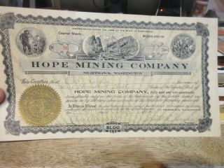 1913 Hope Mining Company Capital Stock Certificate Nighthawk Washington Shares