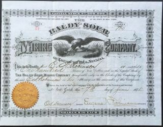 Baldy Sour Mining Co.  Of Treasre Hill,  Nv Stock 1878.  White Pine County Silver