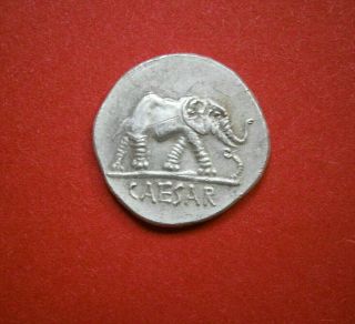 Julius Caesar Ar Silver Denarius Elephant 3,  79gr.  18,  5mm.