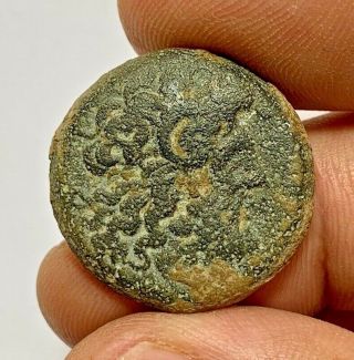 Ancient Greek Ptolemy Bronze Coin Philometor Vi 15.  6gr 26.  6mm