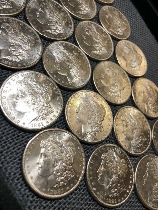 1881 - S Morgan Dollar GEM BU Roll of 20 S$1 Coins Brilliantly All 64/65 No Reserv 8