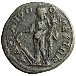 & Large Roman Coin Of Hadrianopolis " Tyche " Gordian Iii Certified