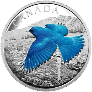 2016 Canada $20 Dollars 9999 Silver Coin The Mountain Bluebird Color Proof
