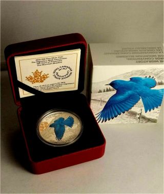 2016 Canada $20 dollars 9999 silver coin The Mountain Bluebird color proof 5