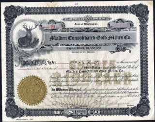 Malden Consolidated Gold Mines Co Of Spokane,  Washington,  1903,  Uncancelled Stoc