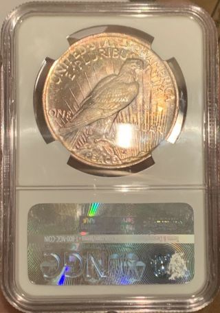 Monster Rainbow Toned Gem 1923 Peace Dollar NGC MS65 One Of A Kind 11