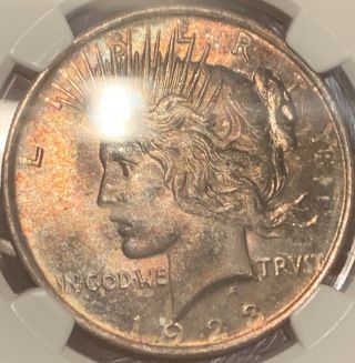 Monster Rainbow Toned Gem 1923 Peace Dollar Ngc Ms65 One Of A Kind
