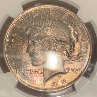 Monster Rainbow Toned Gem 1923 Peace Dollar NGC MS65 One Of A Kind 2