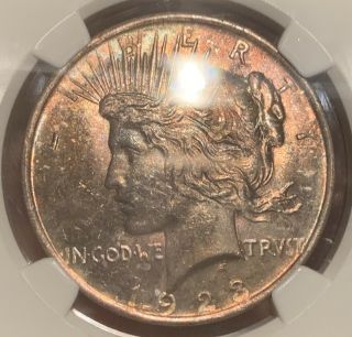 Monster Rainbow Toned Gem 1923 Peace Dollar NGC MS65 One Of A Kind 3