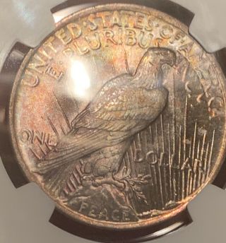 Monster Rainbow Toned Gem 1923 Peace Dollar NGC MS65 One Of A Kind 4
