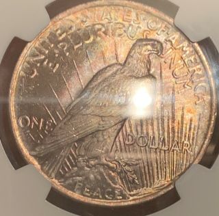 Monster Rainbow Toned Gem 1923 Peace Dollar NGC MS65 One Of A Kind 5