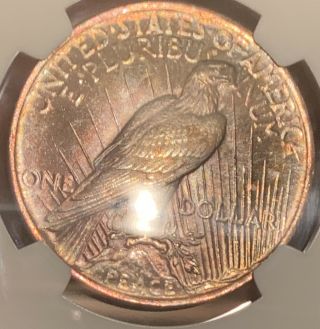 Monster Rainbow Toned Gem 1923 Peace Dollar NGC MS65 One Of A Kind 6