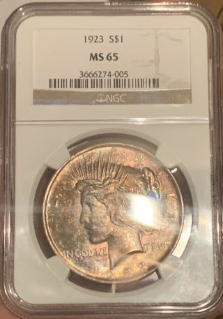 Monster Rainbow Toned Gem 1923 Peace Dollar NGC MS65 One Of A Kind 8