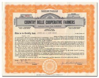 Country Belle Cooperative Farmers Stock Certificate (pennsylvania Milk Farms)