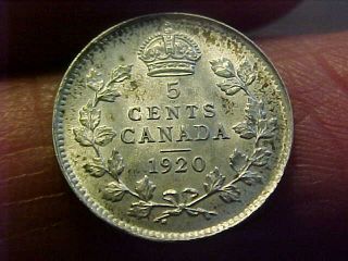 1920 Canada Five Cent Lustrous Ms Unc Coin