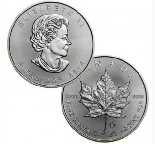 Roll Of 25 1oz Silver Canadian Maple Leaf $5 Coins - Canada Rcm Tube 2014