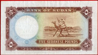 (com) SOUDAN - SUDAN.  - 5 POUNDS 1966 - P 9c - VF 3