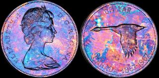 1967 Canada Elizabeth Ii Silver $1 Dollar Proof Like Toned Goose