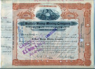 Buffalo Hump Mining Company Stock Certificate York