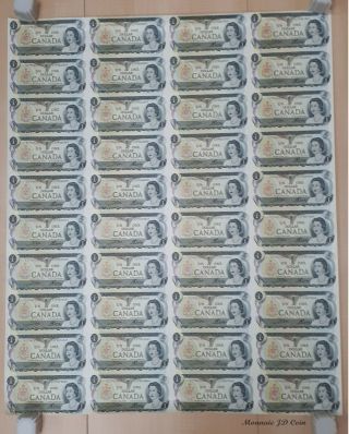 1973 Canada 1 Dollar Bank Note Uncut Sheet Of 40 - 5x8 Format - Ecp In Tube