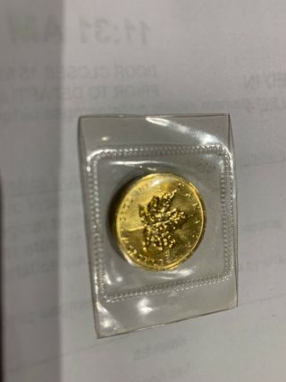 1991 Canada $10 Gold Maple Leaf 1/4 Oz Bullion Coin