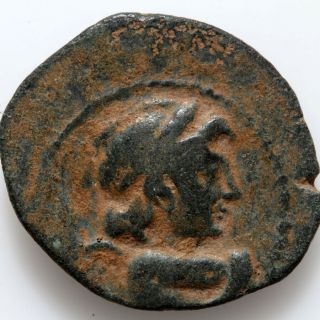 Greek Coin Seleucid Kingdom Syria Antioch Ae Antiochos Vii Euergetes - 138 - 129 Bc