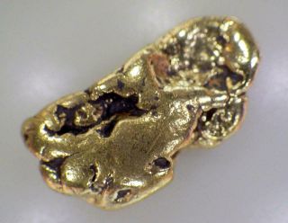 Gold Nugget Natural Alaska Placer 4.  925 Grams Ak.  1583 Oz T Hunter Creek