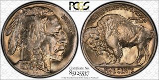 1928 Buffalo Nickel Pcgs Secure Ms66 66 Ms Registered Coin Gem Unc Bu