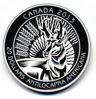 Canada 20 Dollars 2013 The Pronghorn - Proof.  999 Silver