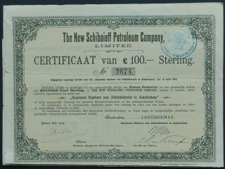 Russia/azerbaijan - The Schibaieff Petroleum Company - 1913 - Dutch Cert.