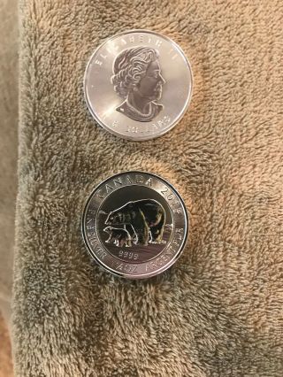 Roll Of 15 - 2015 Canada Polar Bear And Cub - {unc} 1.  5 Oz 9999 Fine Silver Coin