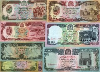 Afghanistan Set 10 20 50 100 500 1000 5000 10000 Afghani Unc Animal Money 8 Note