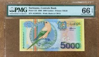 Suriname 5000 Gulden 2000 P 152 Gem Unc Pmg 66 Epq Parakeet